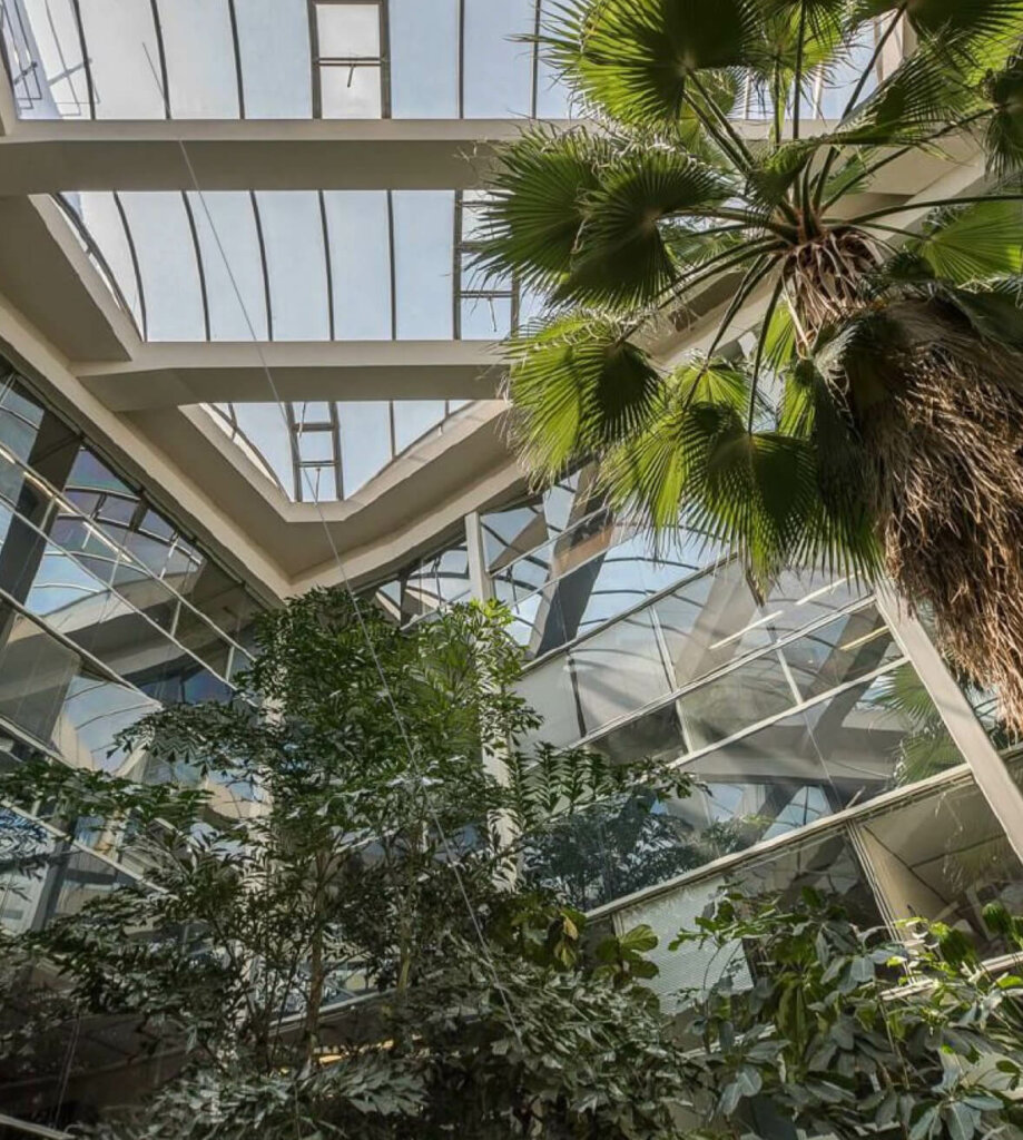 Rénovation totale d'un immeuble de bureau